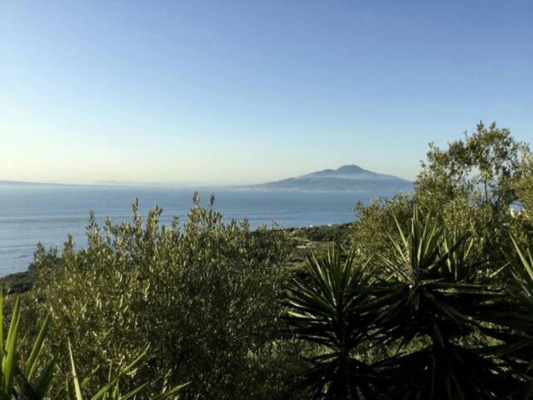 Un Paradiso A Sorrento Con Piscina Масса-Лубренсе Экстерьер фото