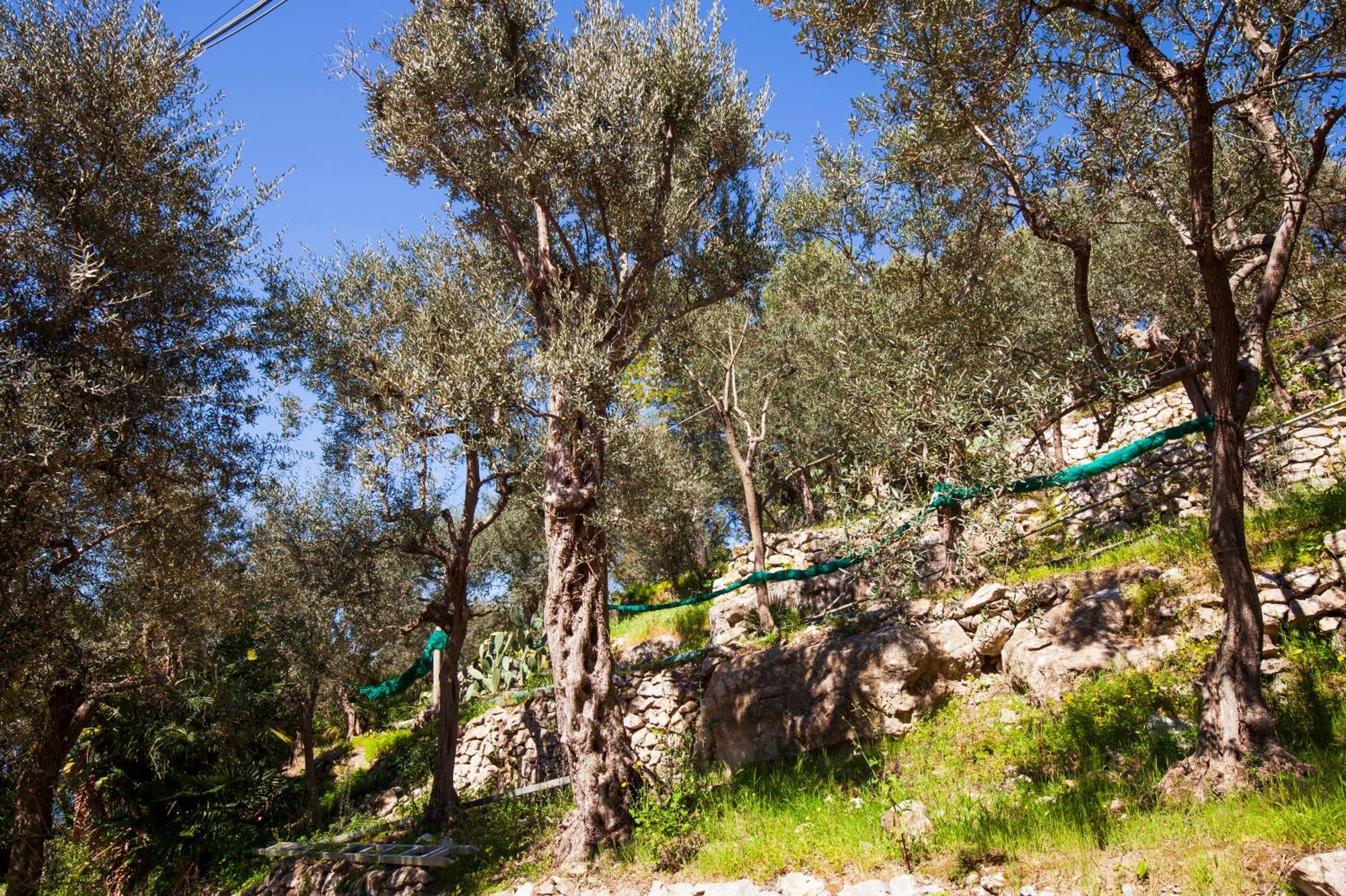Un Paradiso A Sorrento Con Piscina Масса-Лубренсе Экстерьер фото