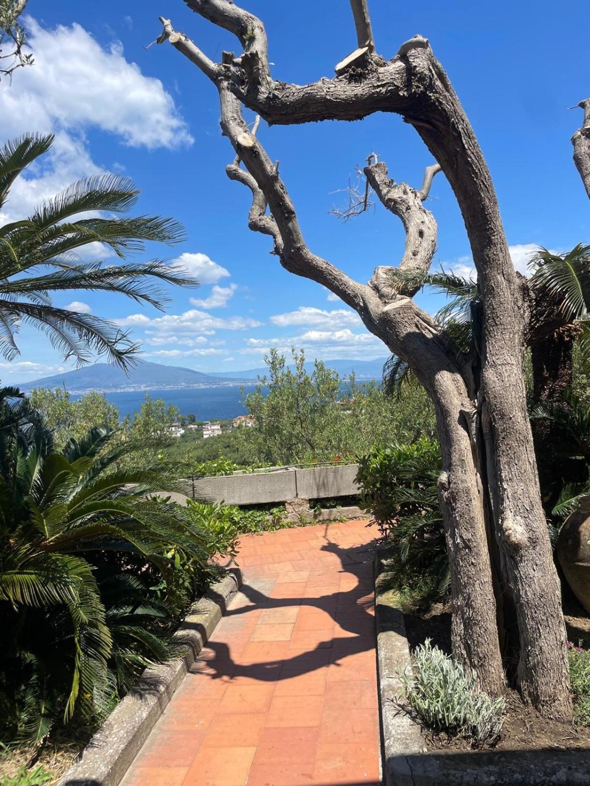 Un Paradiso A Sorrento Con Piscina Масса-Лубренсе Экстерьер фото
